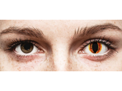 ColourVUE Crazy Lens - Saurons Eye - brez dioptrije (2 leči)