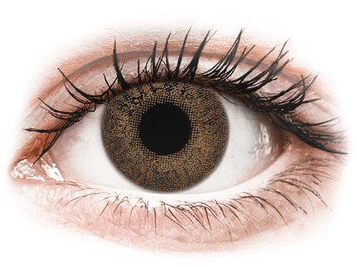 TopVue Color - Brown - brez dioptrije (2 leči) - Barvne kontaktne leče