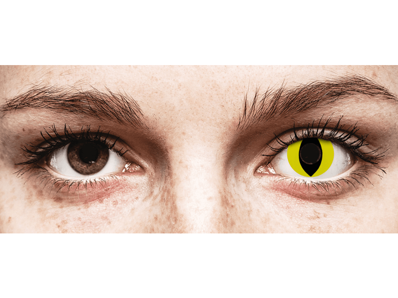 CRAZY LENS - Cat Eye Yellow - dnevne leče brez dioptrije (2 leči)