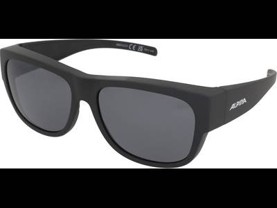 Alpina Overview II Q Black Matt